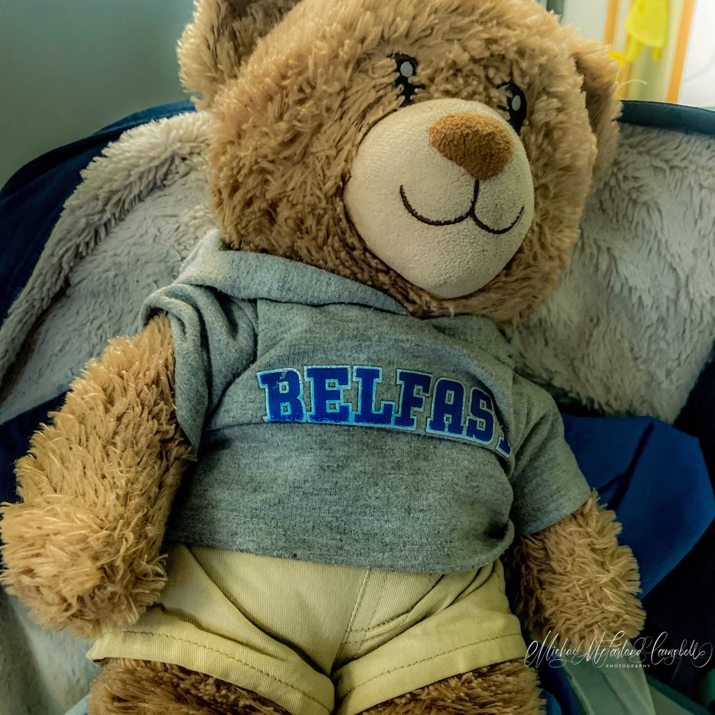 🧸 Otto the Autism Support&nbsp;Bear