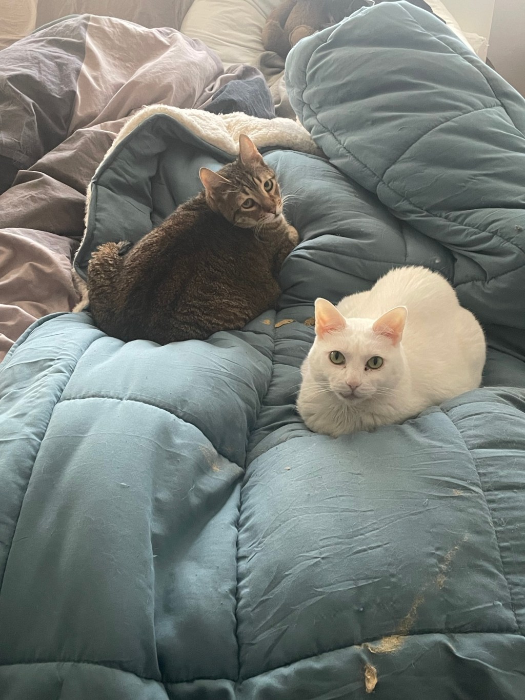 Andrew. Richard. Niamh.